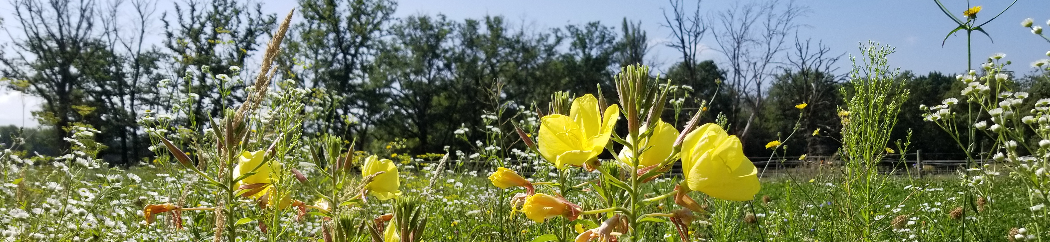 Association Invention Romandie